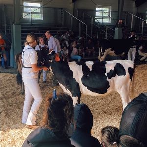 Meet your Posher, Shaelee